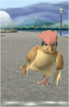 Image 74
