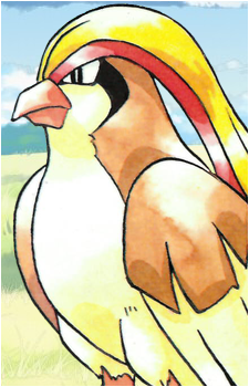 Pidgey