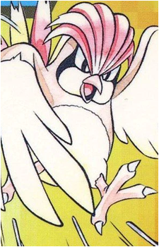 Pidgey