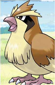 Pidgey's image