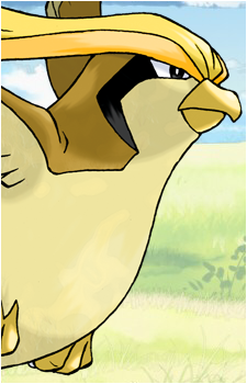 Pidgey