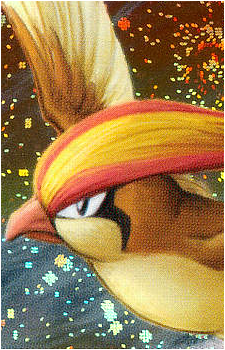 Image 39