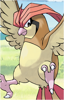 Pidgey