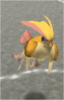 Image 75