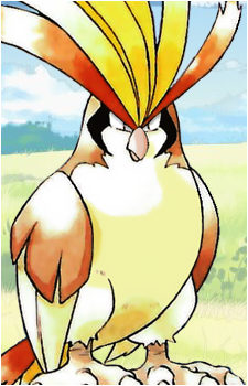 Pidgey
