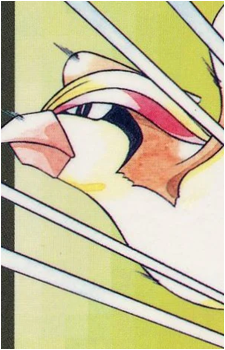 Pidgey