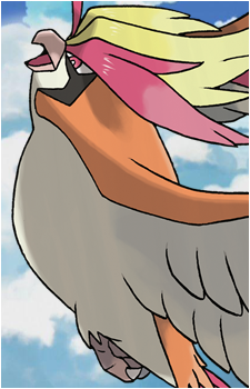 Pidgey