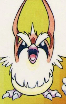 Pidgey