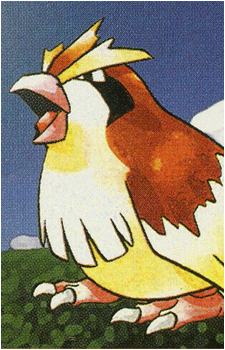 Pidgey