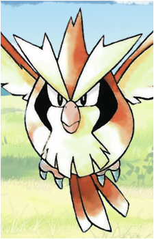Pidgey