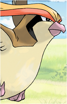 Pidgey