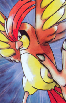 Pidgey
