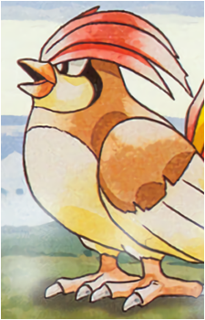 Pidgey