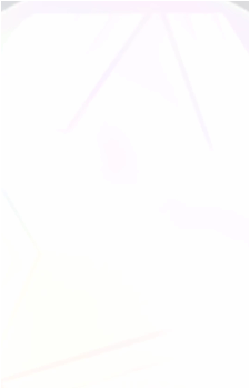 Image 41