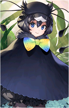 Western Parotia
