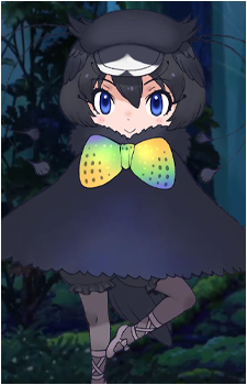 Western Parotia's image
