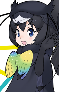 Western Parotia