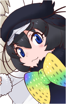 Western Parotia