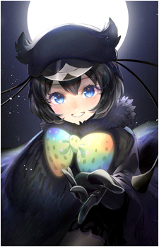 Western Parotia