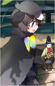 Western Parotia