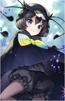Western Parotia