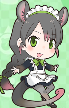 Common Ringtail Possum