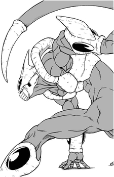 Cooler