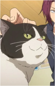 Steve {F!}