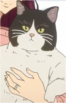 Steve {F!}