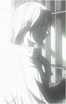 Image 7 Image 7