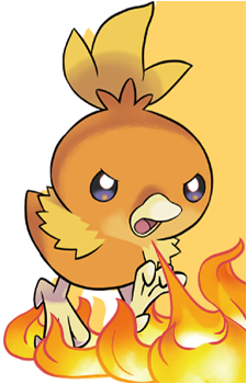 May's Torchic