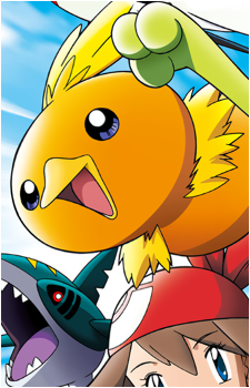 Image 14