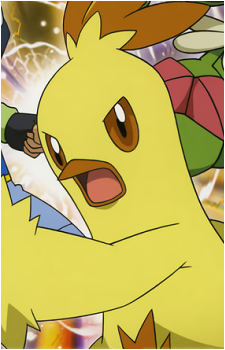 May's Combusken's image