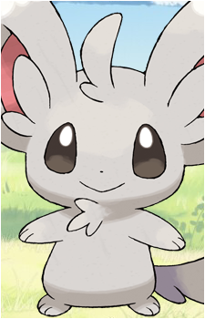 Minccino's image