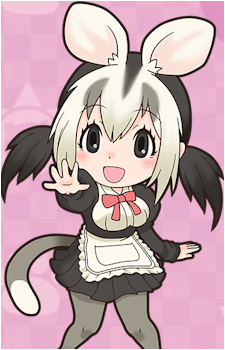 White-Eared Opossum