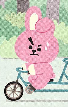 Image 6 of Cooky