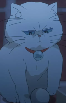 Butch's image