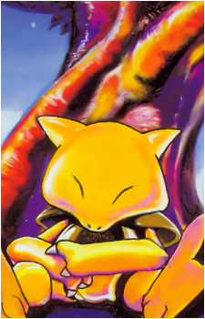 Image 26