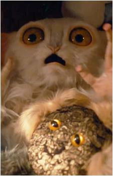 Beep the Meep