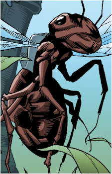 Ant-Thony's image