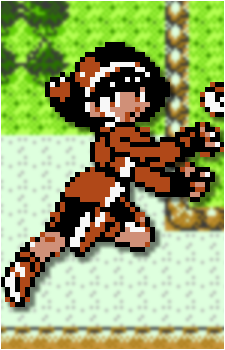 Ace Trainer