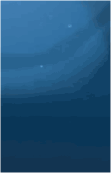 Image 27
