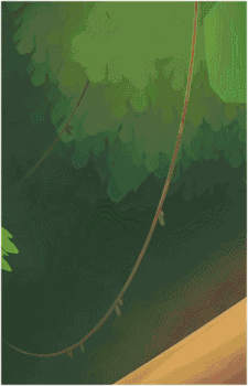 Image 30