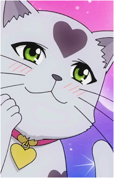 Pushi