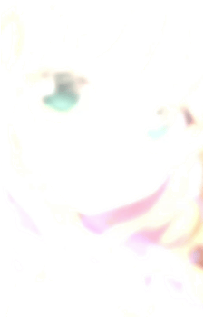 Image 2 Image 2