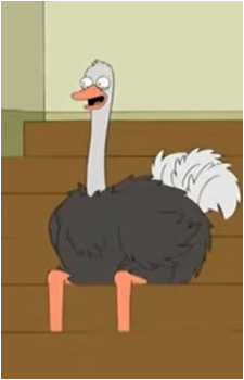 Eddie the Live Studio Ostrich