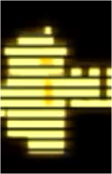 Bard {FMB}'s image
