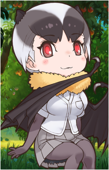 Daito Fruit Bat
