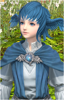 Meteion's image