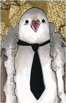 Hattori {OP}